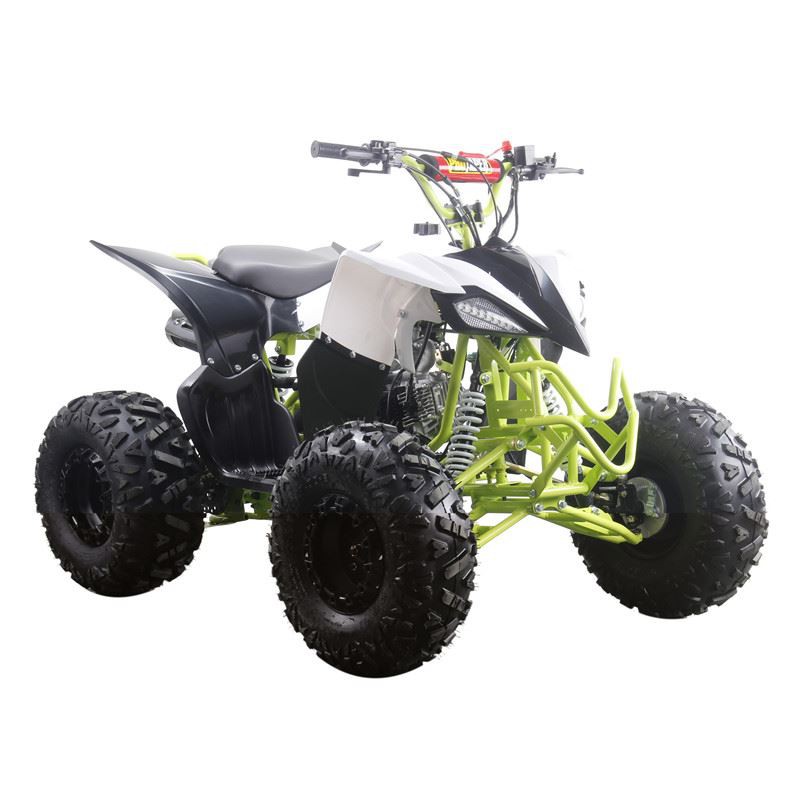 New Raptor Quad Bike 125cc