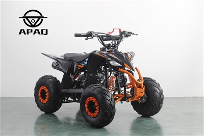 Dětská čtyřkolka 110 ccm
